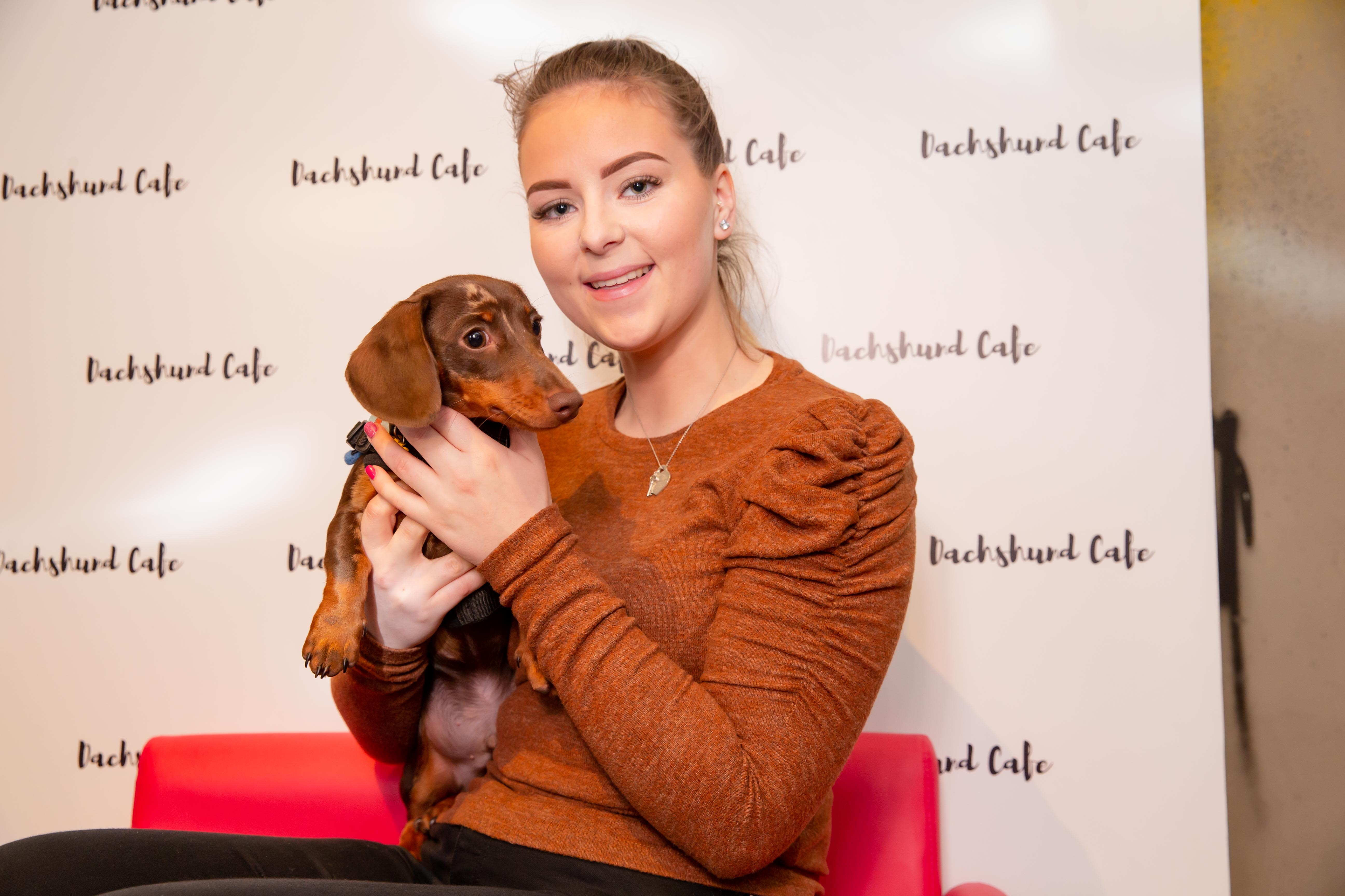 Doodles 40 Official Pop Bark