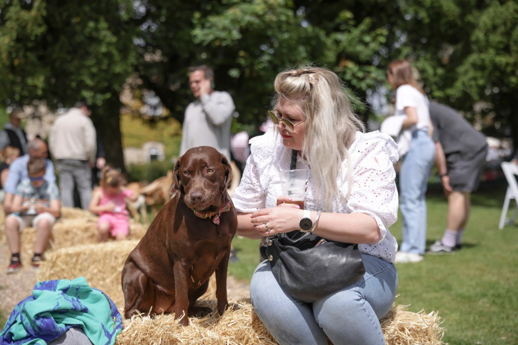 Labrador Cafe at Down Hall 2024 – OFFICIAL POP+BARK